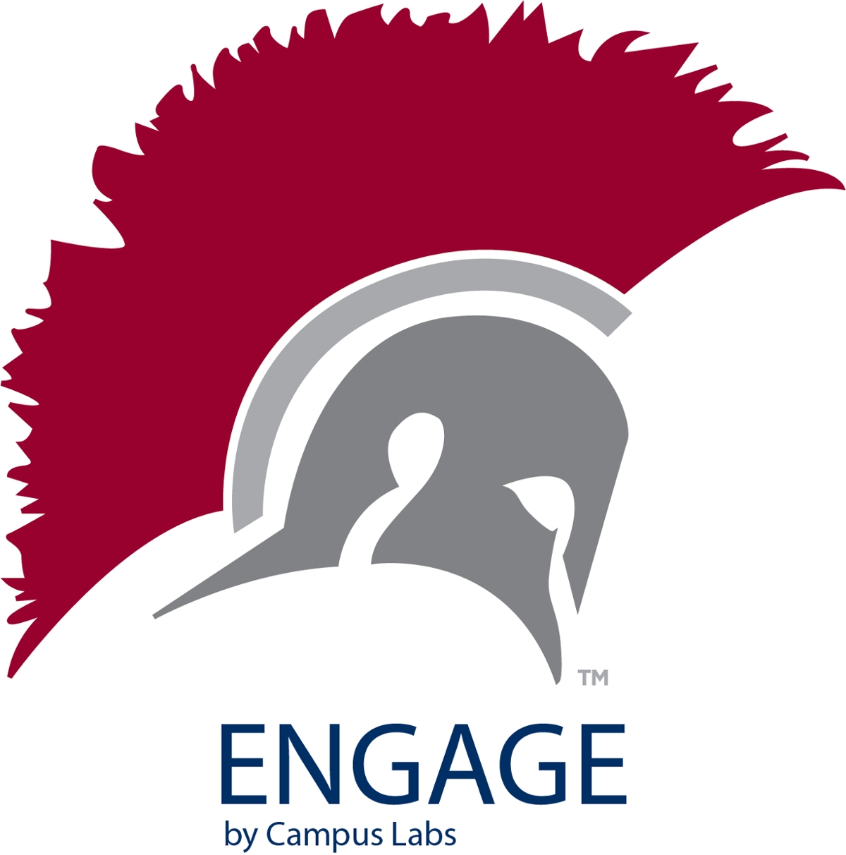 WarriorHelmet_Engage